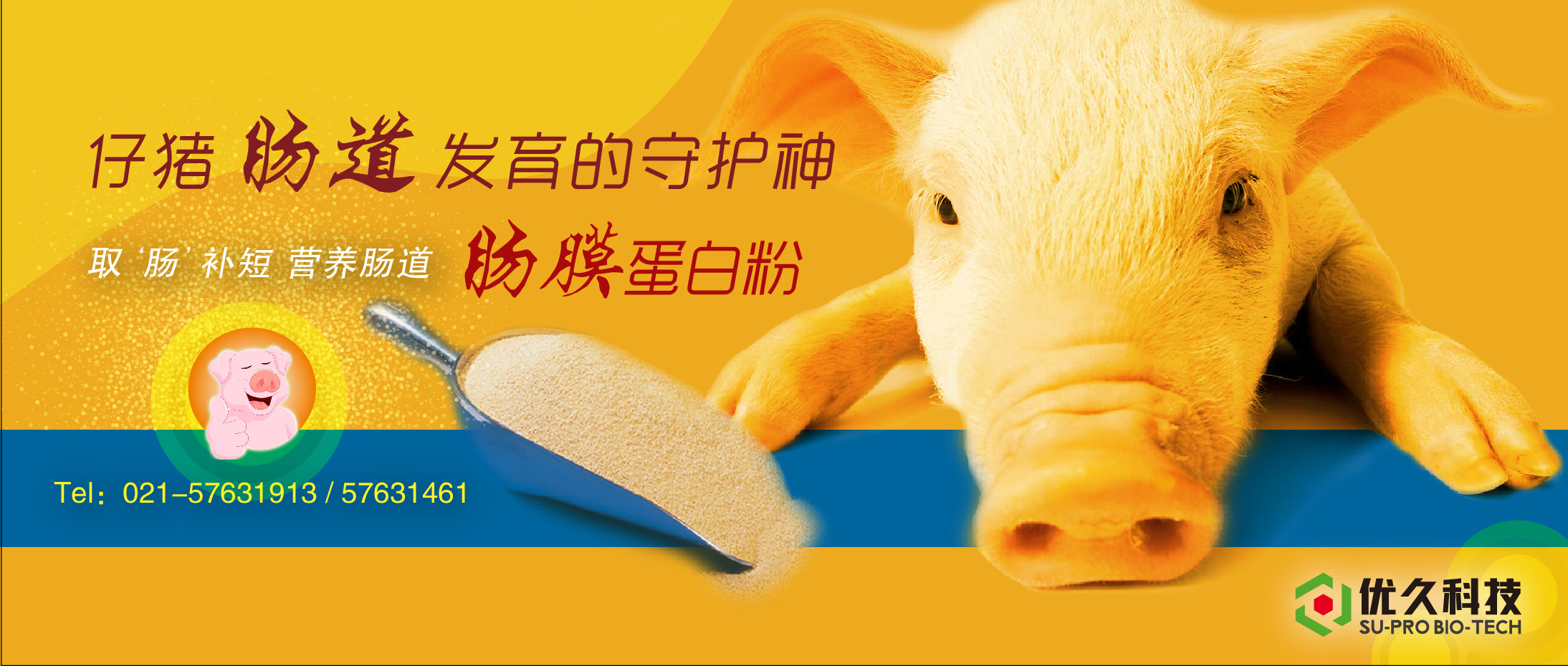 腸膜