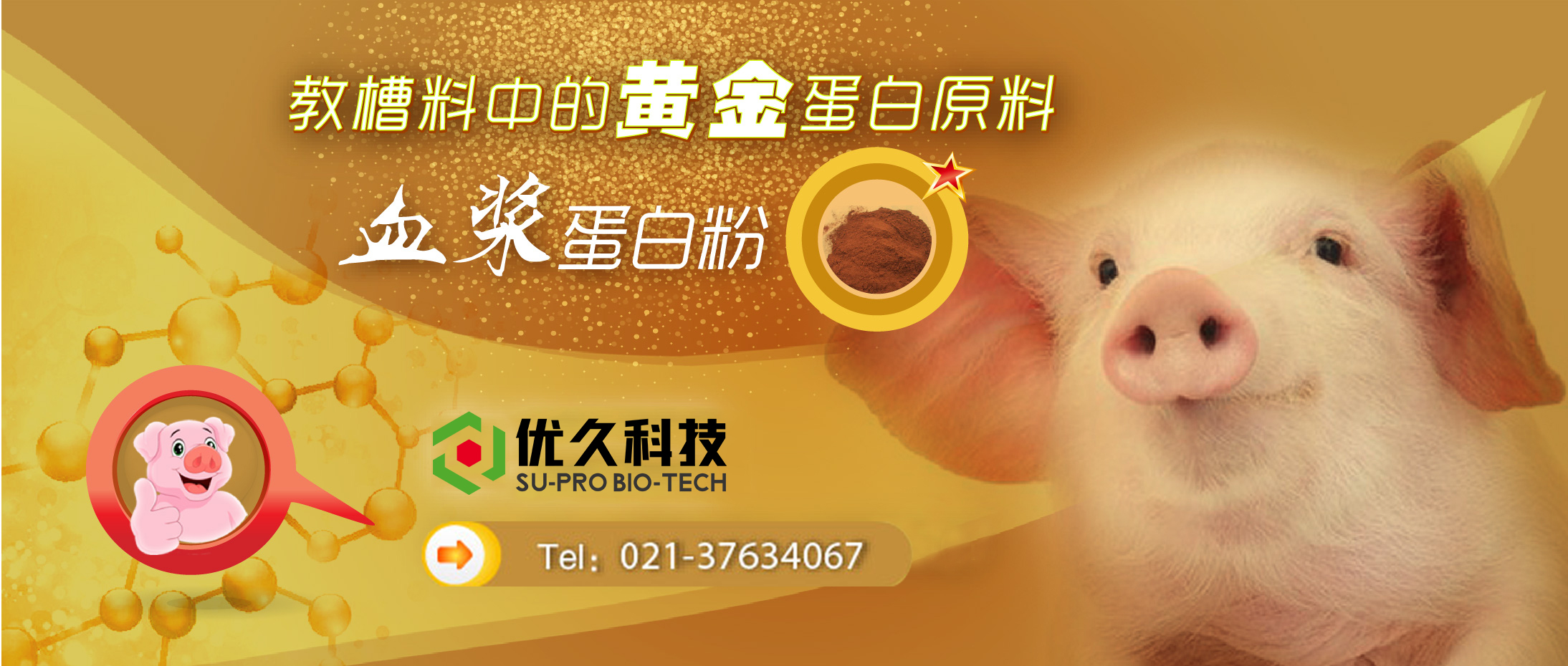 血漿蛋白
