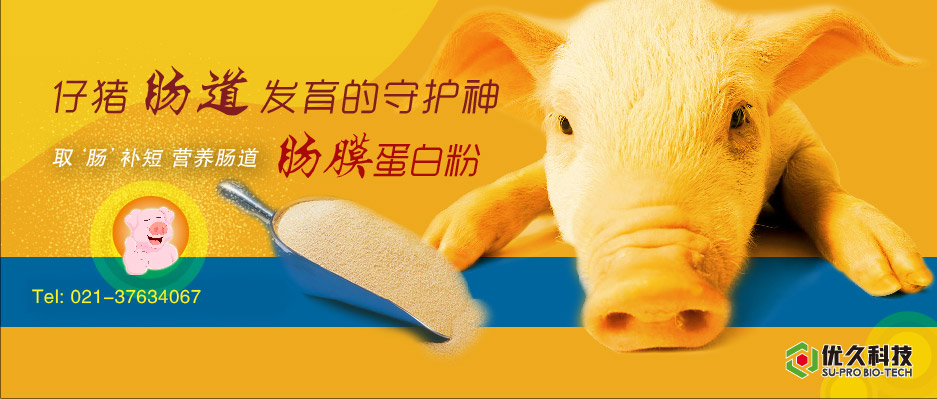 腸膜蛋白