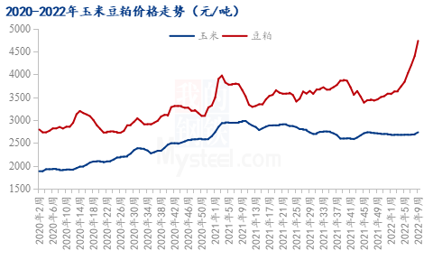 圖表