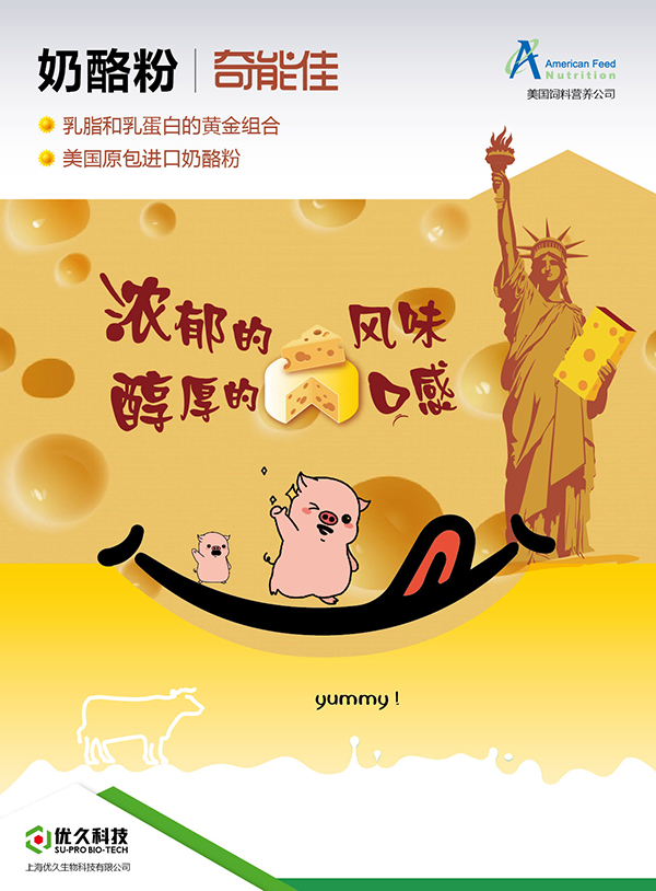 奶酪粉