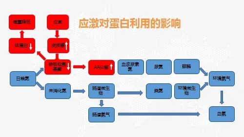 絲蘭寶